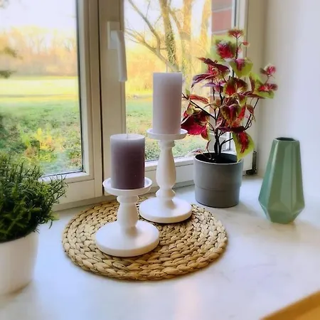 Gruene Idylle In Der Naehe Des Zwenkauer Sees