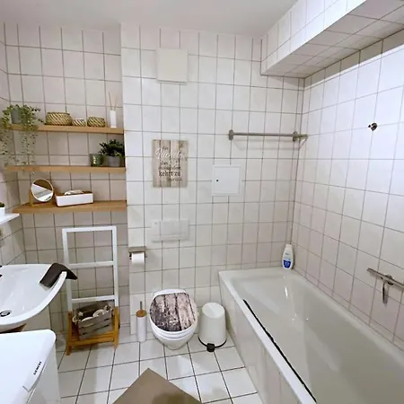 Gruene Idylle In Der Naehe Des Zwenkauer Sees Zwenkau